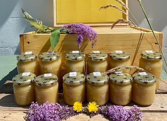 img-product-miel-printemps-jodoigne